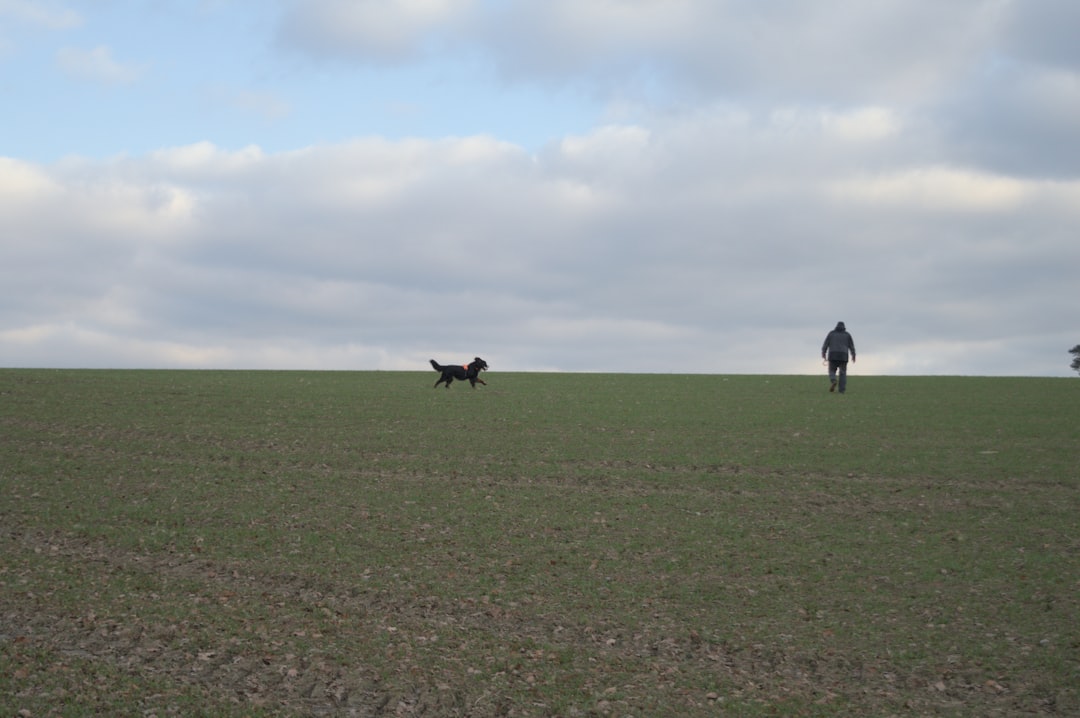 Exercise, Mental Stimulation, and Routine